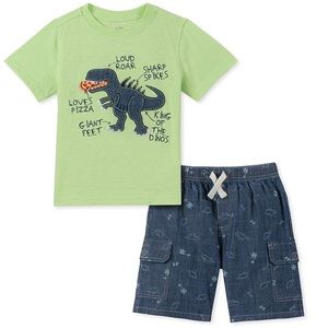 Toddler Boys Shorts set